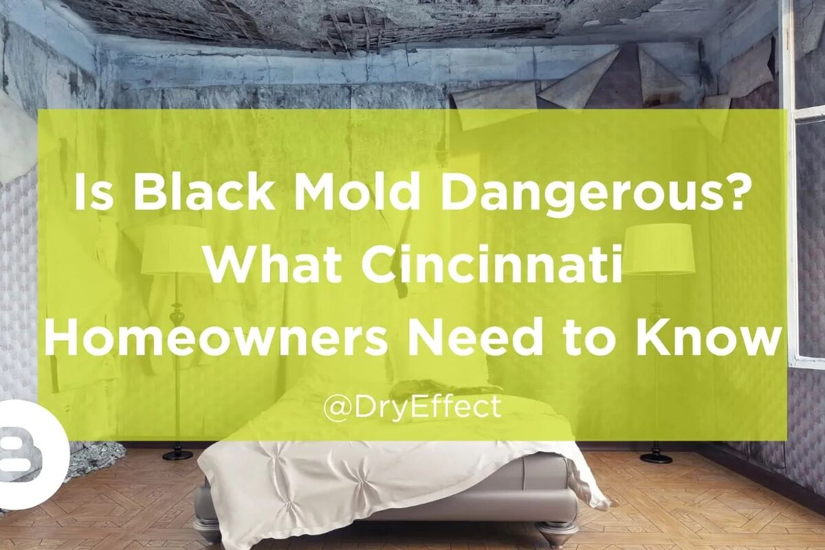 5 Signs of Hidden Mold in Your Cincinnati Home