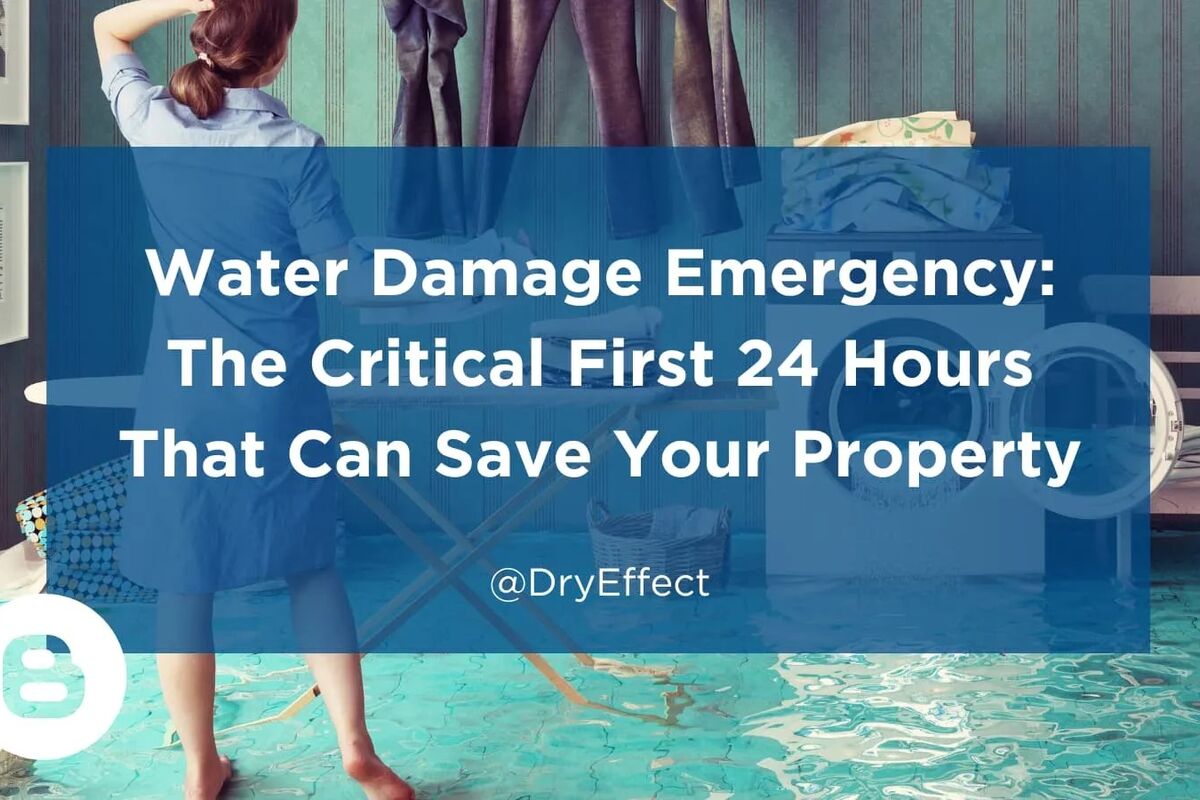 What to Do in the First 24 Hours After Water Damage