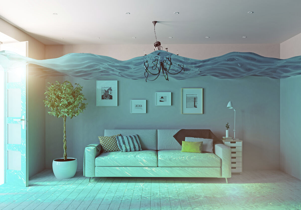 Indoor Air Quality: What Should You Know and How Can You Improve it?