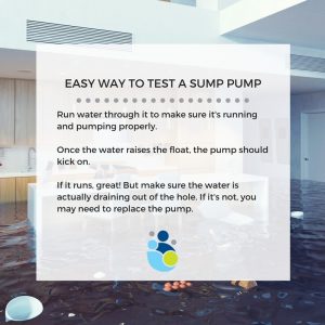 Dry Effect Sump Pump