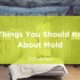 should know about mold