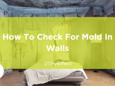 check for mold