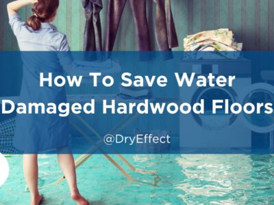Water Damaged Hardwood