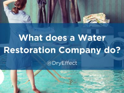 water restoration company
