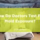 test for mold exposure