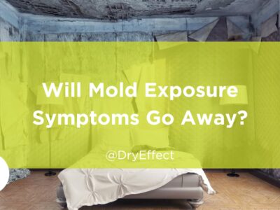 mold exposure symptoms