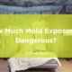 mold exposure
