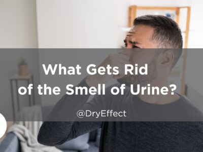 Urine Smell