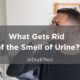 Urine Smell