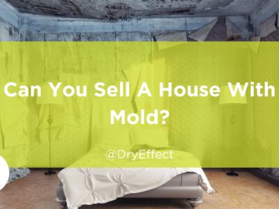 Can You Sell A House With Mold