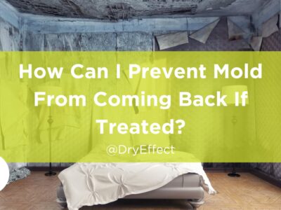prevent mold from coming back