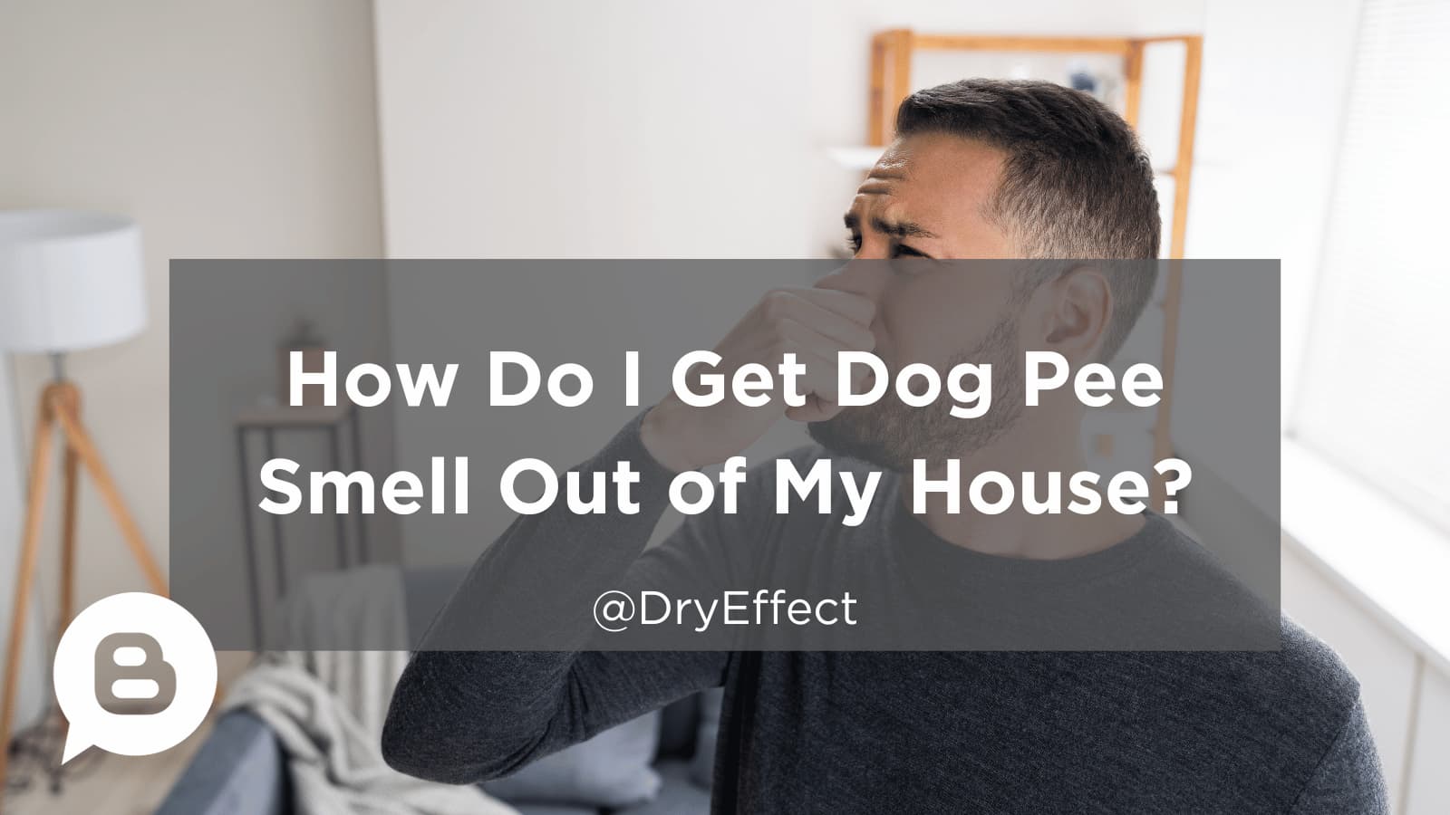 How Do I Get Dog Pee Smell Out of My House
