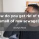raw sewage