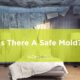 safe types of mold