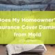 Homeowner's insurance mold coverage