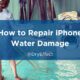 How to Repair iPhone Water Damage