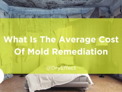 average cost of mold remediation
