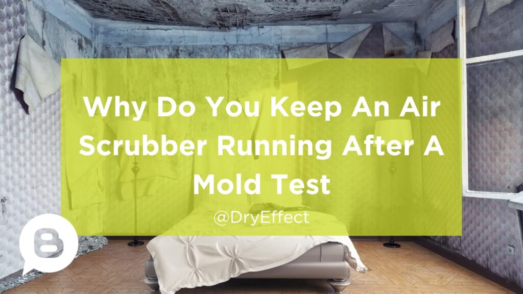 after a mold test