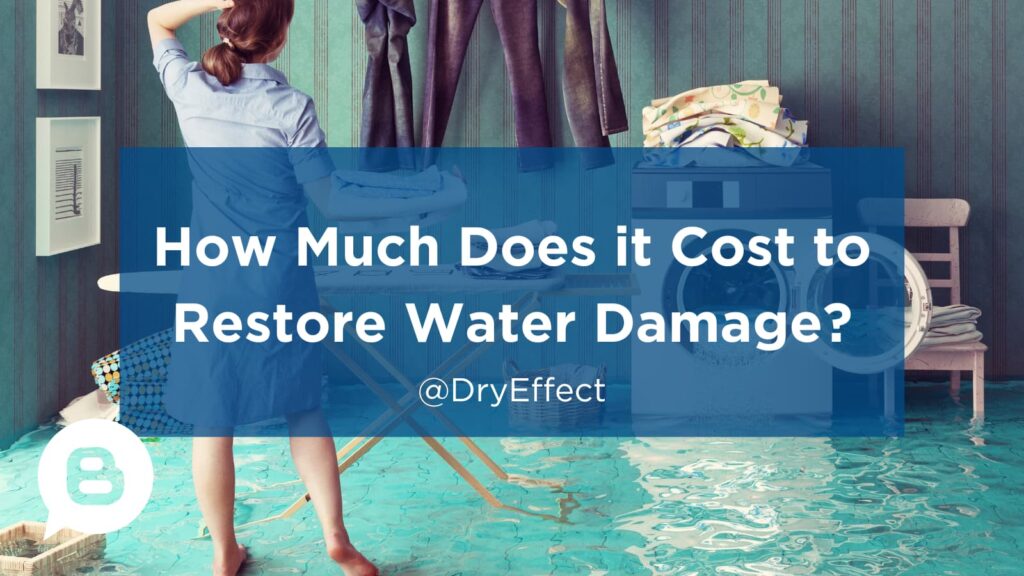 restore water damage