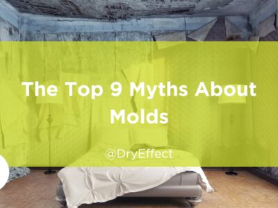 myths about molds