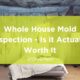 house mold inspection