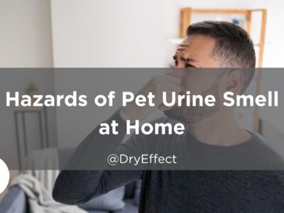 Pet Urine Smell
