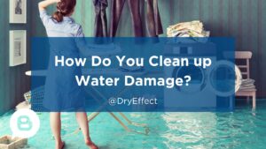 clean up water damage