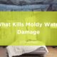 moldy water damage