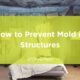 prevent mold