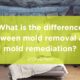mold removal and mold remediation