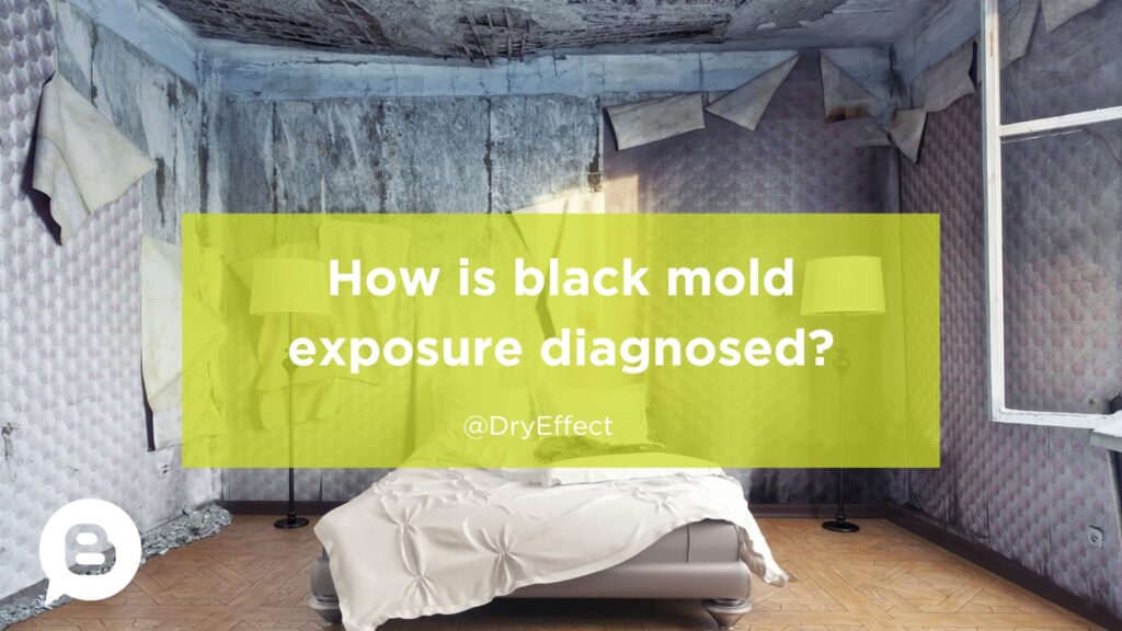 How is black mold exposure diagnosed