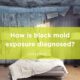 How is black mold exposure diagnosed
