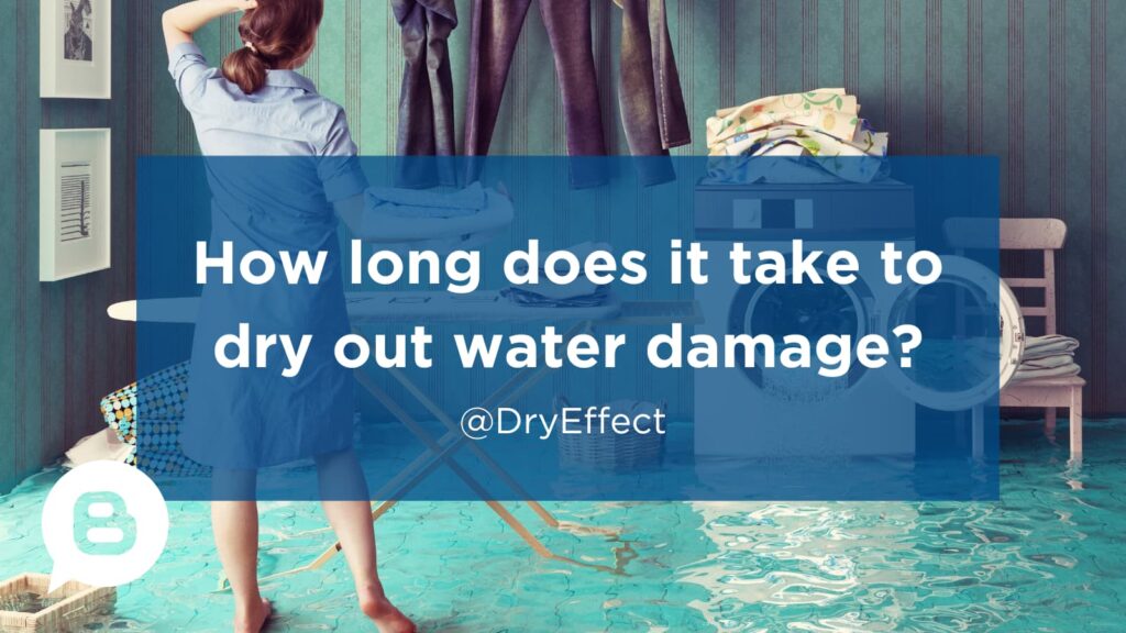 How long does it take to dry out water damage?
