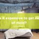 Is it expensive to get rid of mold?
