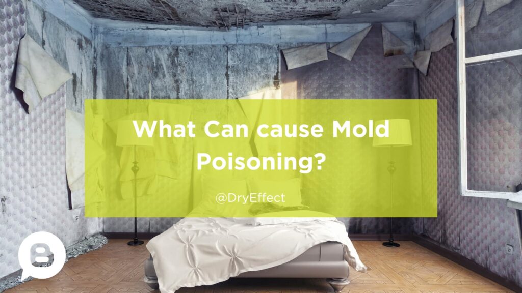 What Can cause Mold Poisoning
