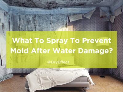 What To Spray To Prevent Mold After Water Damage