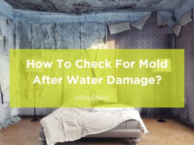 How To Check For Mold After Water Damage?