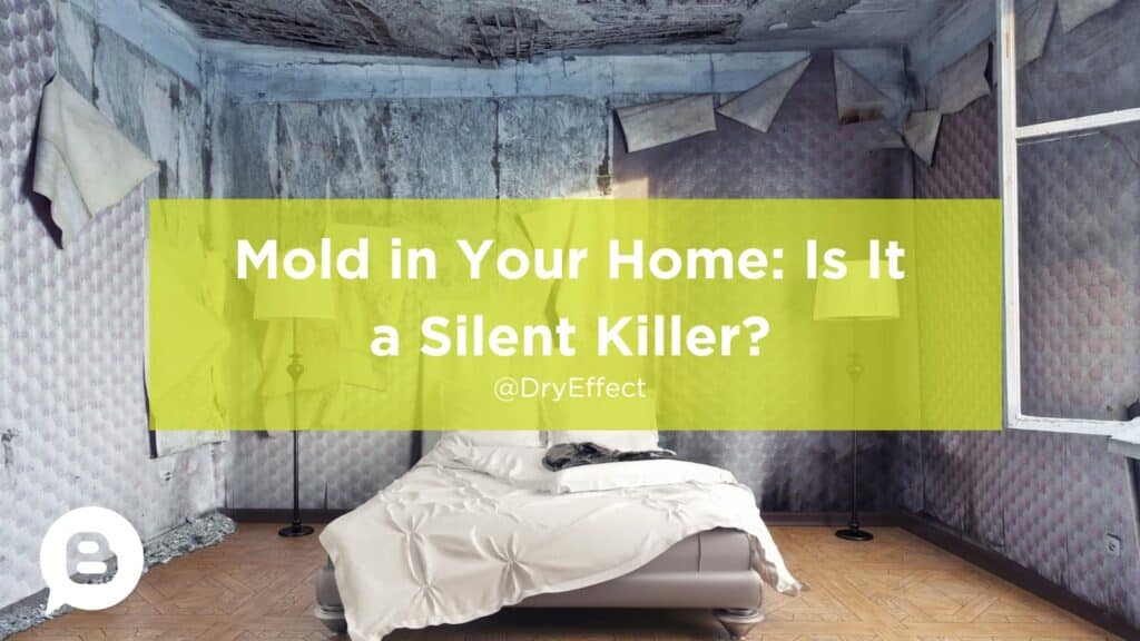 Mold in Your Home Is It a Silent Killer