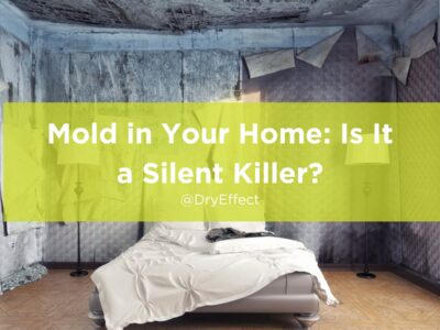Mold in Your Home Is It a Silent Killer