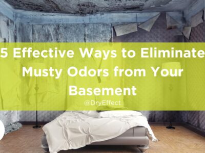 5 Effective Ways to Eliminate Musty Odors from Your Basement