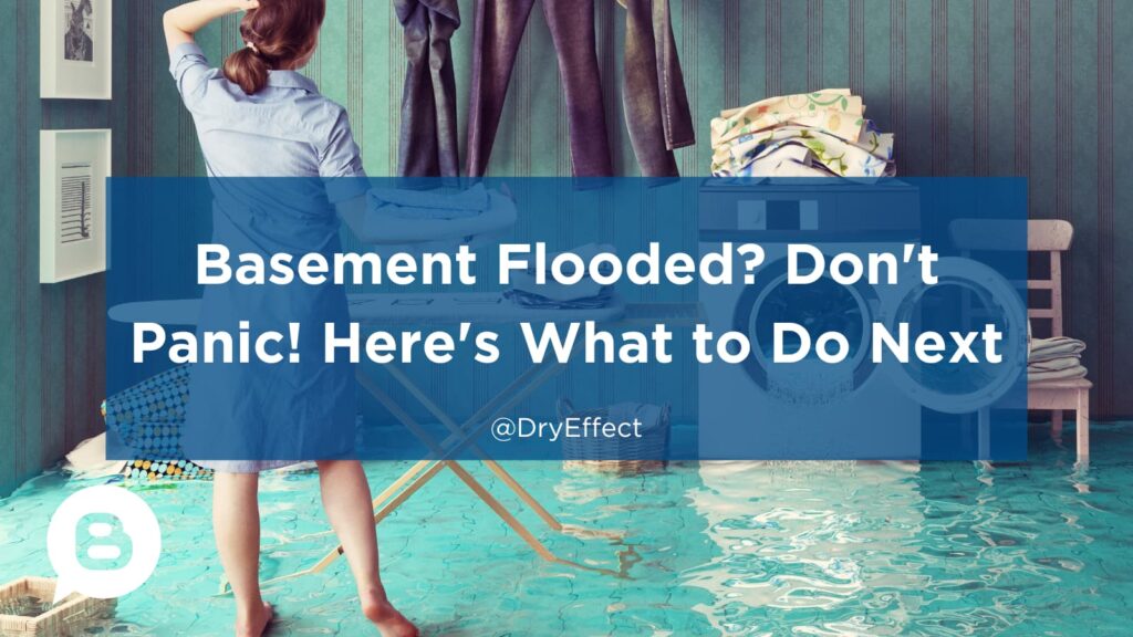 Basement Flooded? Don't Panic! Here's What to Do Next