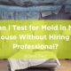 Can I Test for Mold in My House Without Hiring a Professional?
