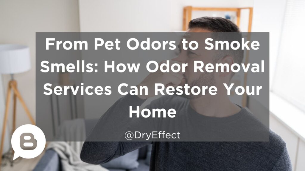 From Pet Odors to Smoke Smells: How Odor Removal Services Can Restore Your Home