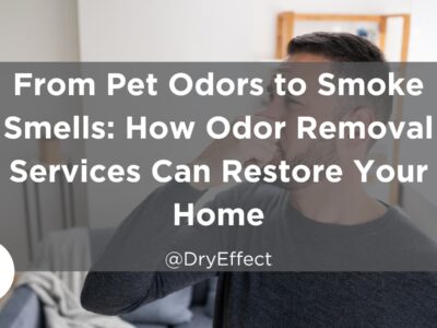 From Pet Odors to Smoke Smells: How Odor Removal Services Can Restore Your Home