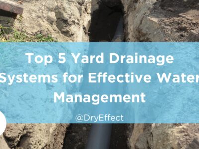 Top 5 Yard Drainage Systems for Effective Water Management