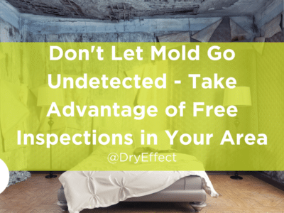 free mold inspections