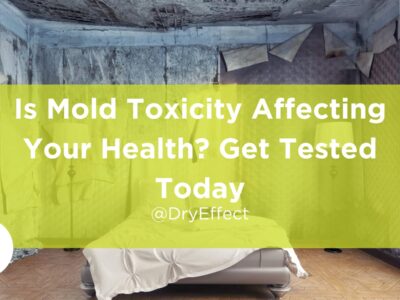 Mold Toxicity