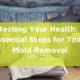 Toxic Mold Removal