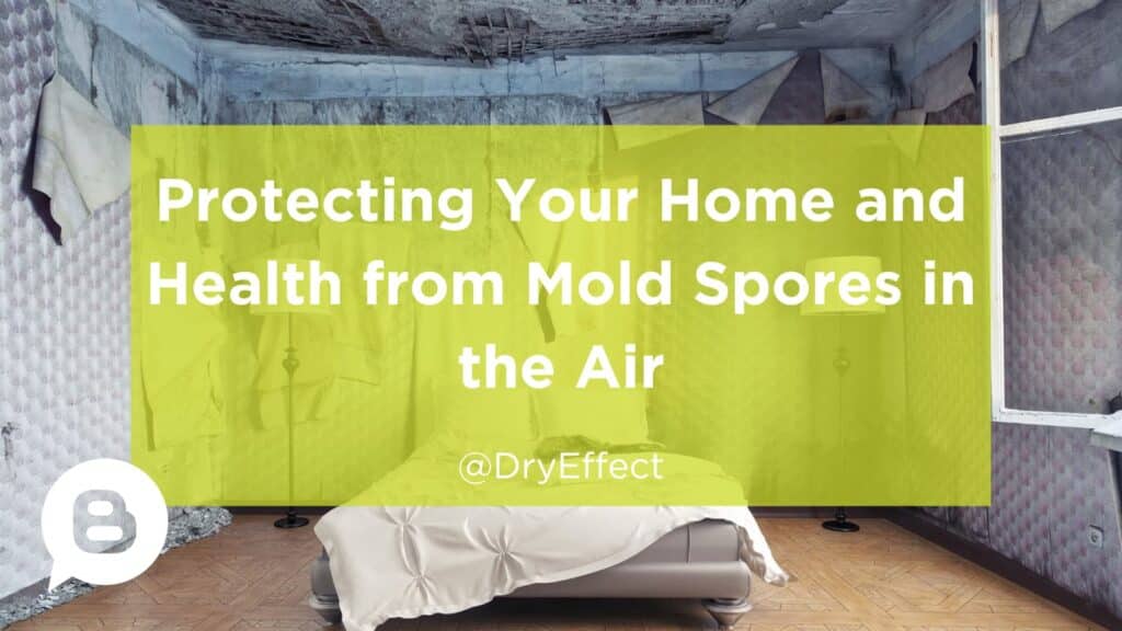 mold spores in the air