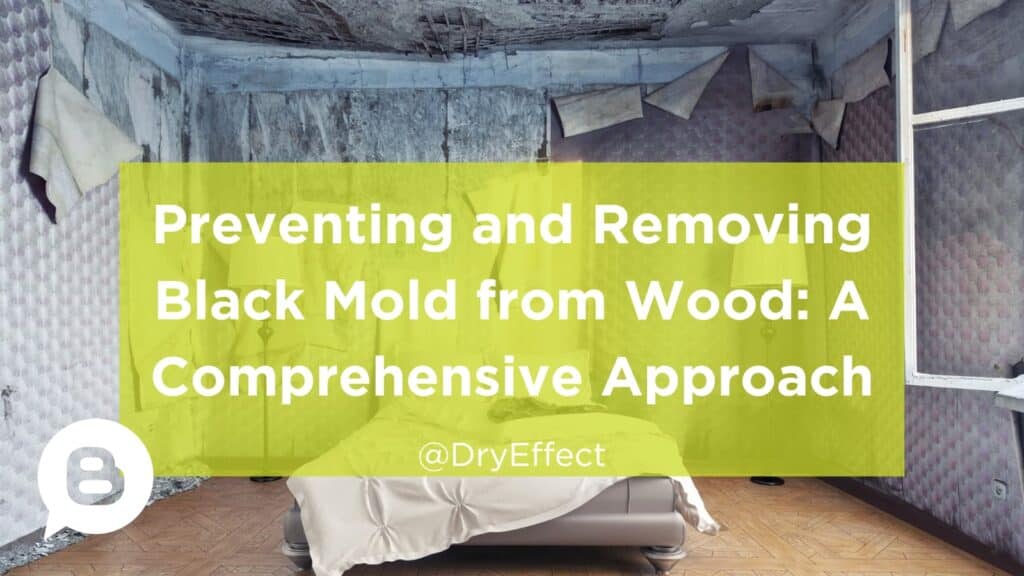 Removing Black Mold from Wood